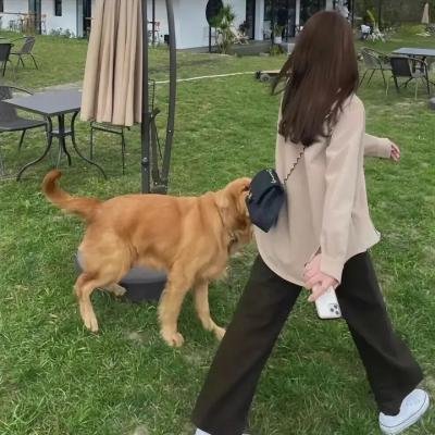 赤色杀机